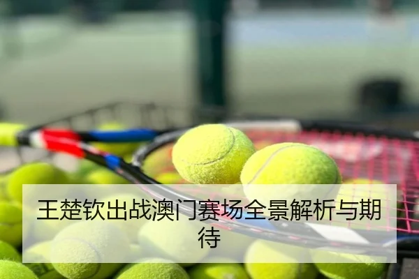 王楚钦出战澳门赛场全景解析与期待