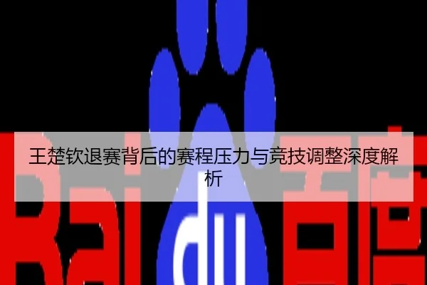 王楚钦退赛背后的赛程压力与竞技调整深度解析